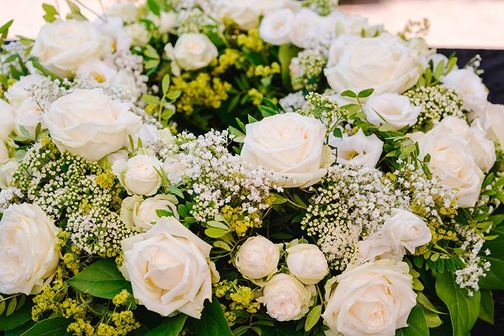 Rosas blancas